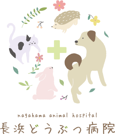 長浜どうぶつ病院